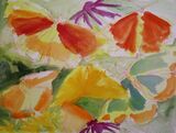 Butterfly 9