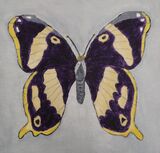 Butterfly 2