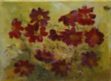 Cosmos, Daphne Ottaway