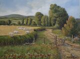Country Lane