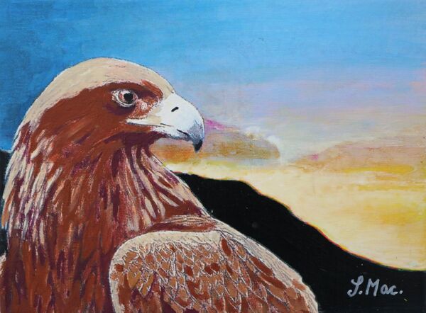 Eagle at Nuolja