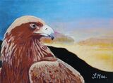 Eagle at Nuolja