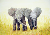 Elephants - Linda Mayne