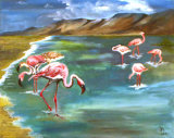 Flamingo, Jill Akhurst