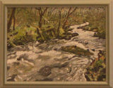 Full Flow in the Lakes, Janet Drewitt