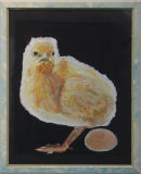 Chick Eleanor Pain
