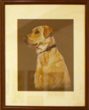 Labrador, Tina Rowland