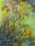 Pond - Jacqueline Browning