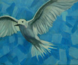 Little White Tern Linda Da Rios