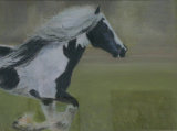 Black & White horse Patsy Oseman