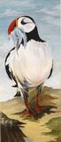 Puffin with Fish
