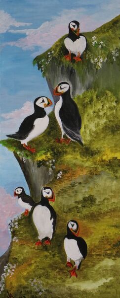 Puffins
