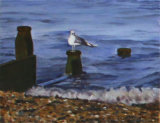 Sea and Seagull, Linda Ledbrook