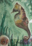 Seahorse Ahoy, Julia Parker