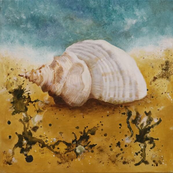 Shell