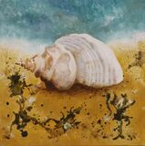 Shell