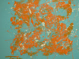Splash (Blue), Julia Parker