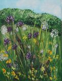 Spring Meadow