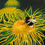 Sunflower-Bee - Linda Mayne