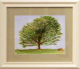 Tree Canopy, Brenda Thomas