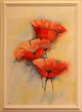Trio of Poppies - Anne Whittle