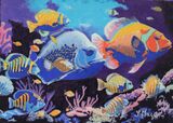 Tropical Fish