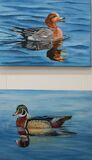 Two Ducks