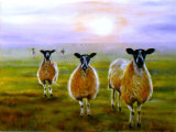 We Three Sheep, Linda Farrington