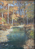 Reflections, Wendy Mills