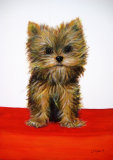 Yorkie - Linda Mayne