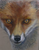 I'm watching you, Yvonne Gambrill