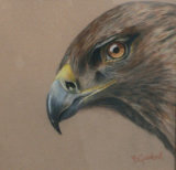 I've got my eye on you, Yvonne Gambrill