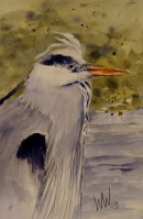 Heron, Peebles, 31 Dec 2013