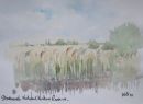 Reedbeds, Stodmarsh National Nature Reserve
