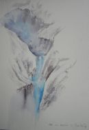 Ice moulin on the Greenland icecap