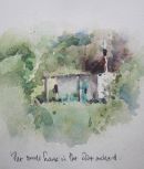 In the olive orchard, Crete