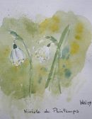 Niveole de Printemps, 2009