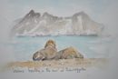 Walruss, Svalbard