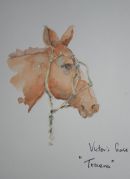 "Trueno" - Victor's horse