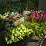 Flower arranger Siem Reap