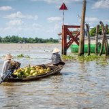 Fruit on the Mekong