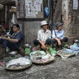Hanoi fish seller