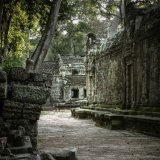 Ta Prohm Temple6