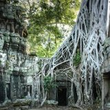 Ta Prohm Temple 2
