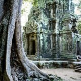 Ta Prohm Temple