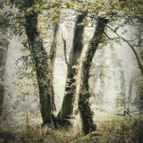 GEN9430-Edit-Edit-Edit-Edit