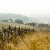 Countryside at Tor Royal