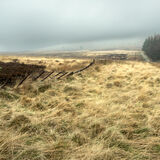 Mist at Stanage, Derbyshire