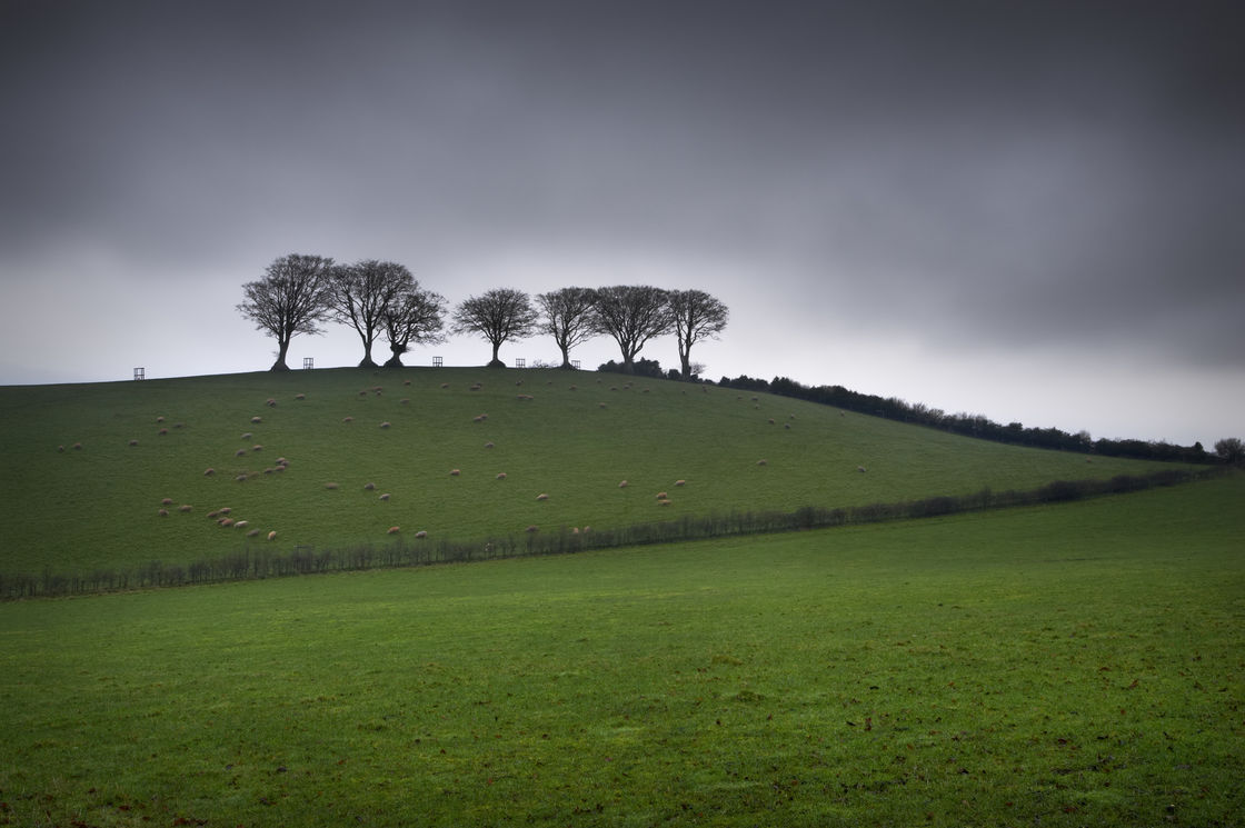 Exmoor