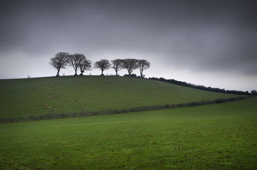 Exmoor